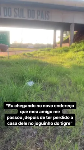 Coitado ..não é nada facil morar debaixo de um pontilhão 🥹.  #humor #viral #tiktok #joguinho #viraltiktok 