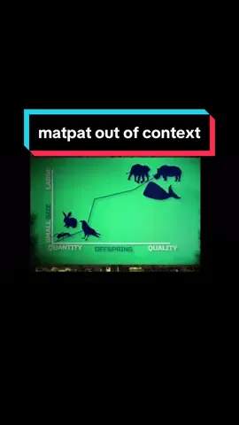matpat out of context #matpat #nocontext #Minecraft #enderdragon 