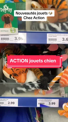 New toys 🐶 chez @actionfrance #action #jouetschien #chiens 