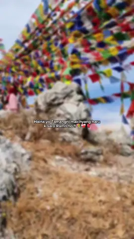 #fyp #tamang #tamangni #chyangba  #maichyang #tamangsong #selo #tamangculture #tamangdress #damfu #buddha #buddhist #Love #support #viral 