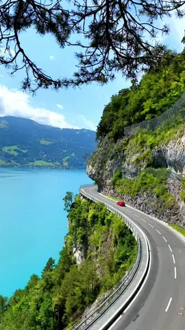 📍 Lake Thun, Switzerland 🇨🇭 Follow us for daily Swiss Content 🇨🇭 🎥 by: @swisswoow  #berneroberland #switzerland #mountains #schweiz #swissalps #myswitzerland #nature #inlovewithswitzerland #Hiking #swiss #alps #wanderlust #visitswitzerland #travel #jungfrauregion #suisse #landscape #bern #thunersee #swisslake #blickheimat #grindelwald #lauterbrunnen #interlaken #lake #switzerlandpictures #swissmountains #switzerlandwonderland #switzerland_vacations #photography