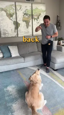 This skill is a game changer for going through doors! Check our our new dog training app. Link in bio