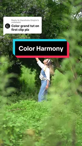 Replying to @Haoshoku Empire   Intro of color harmony #colorgrading #colorgradingtutorials #colorgradingtips 