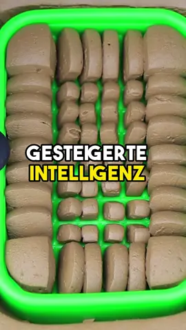 Zufällige Fakten. #intelligenz #fakten #sport  #wissenswert #foryou #geld