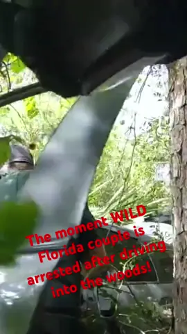 The moment of arrest after fleeing from the police and hiding in the woods! #hilarious #florida