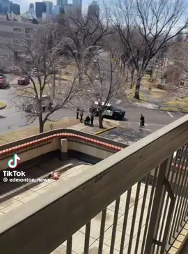 More Edmonton Things 🚔🚓 #EDMONTONPLUGTV 🔌🇨🇦 • #yeg #edmonton #police #fyp #canada #toronto #taser #cop #explore #foryou 