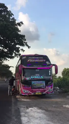 Feminim Style ✨. #wijayatrans #feminim #feminimstyle  #video #videobus #videobusindonesia #aesthetic #aestheticvideos #aestheticbus #cinematic #cinematicbus #cinematicvideo #busreview #busreviewindonesia #fyp #fypシ 