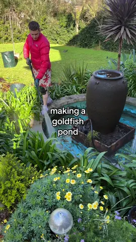 They’re so much happier now! 🥹❤️ #pond #goldfish 