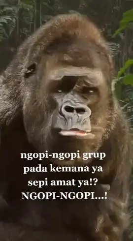 ngopi ngopi#fypmonyetkocak😅 