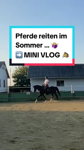 Ein Pferdemädchen zu sein bedeutet, auch mal auf Schlaf zu verzichten um das Pferd vor gemeinen Gelsen zu bewahren. 🤭 Ein Mini Vlog im Reitstall ❤️ #pferd  #pferdevlog #reiter #eigenespferd #pferdevideo #fyp 