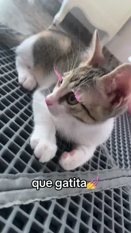 y esa linduraaaa