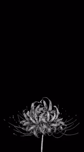 Y que tal un opening 👀 #tokyoghoul #opening #openingespañol #animeopening 