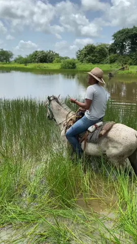 Laguna vieja de don Reynaldo Armas  El número 1 de canta criolla de Santa María de ipire Guarico Bendiciones Venezuela  #FilosofiaCriolla #JoropoParaElMundo #Venezolanos #guarico #llano #joropo #cuatrovenezolano #apure #venezuela #MusicaLlanera #musicallaneracolombia #vzla #lasmercedesdelllano #lacasitadedioslg #parrandeandoconosmil @cuerdasllaneras