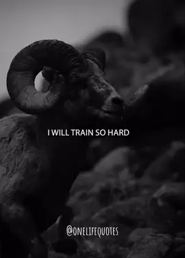 I will succeed, no matter what. #onelife #motivation #success #iwillsucceed #successmindset #successmotivation #mindset #LifeAdvice #inspiration #reachyourfullpotential #hardwork 
