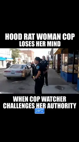 #fyp #LearnOnTikTok #tiktok #viral #police #cops 