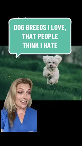 Happy International Dog Day! Here are some dog breeds that people assume I won’t like but I really do! What dog breed do you love that might not be a popular choice? (And thanks @FIGS for my blue scrub top upgrade! #gifted) #internationaldogday #dogbreeds #dogsoftiktok #CapCut 