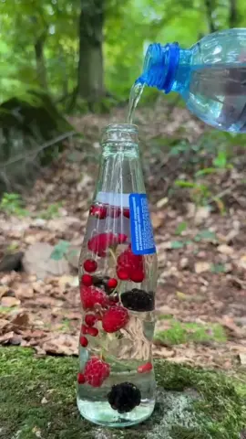 Survival outdoors Life Hack with Branch and Bottle... #camping #survival #forest #Outdoors #bushcraft #LifeHack 
