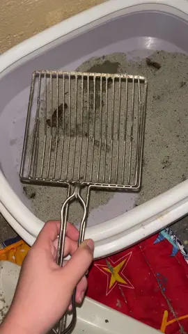 THE BEST CAT LITTER STAINLESS STEEL SCOOPER!! 🥰👌#catlitterstainlessscoop #catlitter #catlitterbox #catessentials #foreverfreshcatlitter #clissorapets #fyp #clickonmyyellowbaket #budolfinds #gabsfinds 