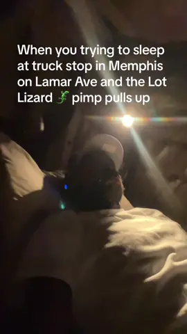 Tell me im lying its Lizards everywhere #fyp  #memphis #lamarave #mindingmyownbusiness #lotlizards #truckstop #trucker #18wheeler #pimpsnhoes 