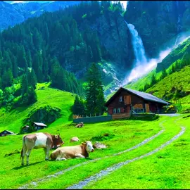 Switzerland's paradise 💋 #switzerland #switzerland🇨🇭 #beautiful #trip #travel #traveling #explore #foryou #foryoupage #fypシ 