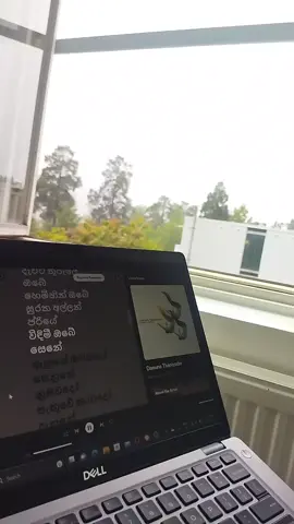 Danune thaniyado #fyp #fypシ #foryou #trending #mood #rain #danunethaniyado #mahirusenarathne 