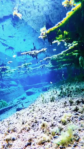 #UnderwaterWorld #underwatershooting #vision #beautiful #scenery #beauty #waterfall  #fyp #HealingDepartmentLandscape#landscape#Mrdoudou    