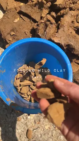 Processing wild clay that I found - PART 2 - “Wet Processing” method.  In part 1, I found the most beautiful wild clay & now I need to process it. Fortunately for me, the clay I found was very pure & didn’t have a lot of rocks, silt, twigs, etc but I treated it as if it did. I did not add any temper to my wild clay (which is sand or other non plastic materials) that’s added to clay to prevent shrinkage and cracking during drying & firing of the vessels.  The clay I found had sand in it & that’s what I used as the “temper”.  The pros to wet processing is you can essentially clean your clay very well & filter out any impurities fairly quickly after letting it soak in water then sieving it through a strainer. In PART 3 I will be dry processing the wild clay & comparing which method might be a better option for the type of clay you found!  You might find that your clay acts different than mine & most foraged wild clay will have more twigs & rocks in it that needs to be sieved out a few more times than I did in this video.  If you have any question ask me down below! I would be happy to help 🙌🏼🤎 . . . #wildclay #wildclaypottery #howto #wet #processing #clay #pottery #earthomestudios