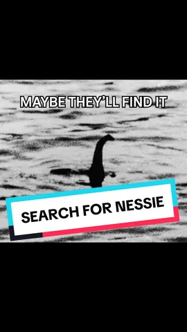 Will they find Nessie ??? 🌊🦕 #btn #behindthenews #news #trendingnews #lochnessmonster #loch #lockness #monster #nessie #ballincat43 #iceage #Scotland #toystory3 #toystory 
