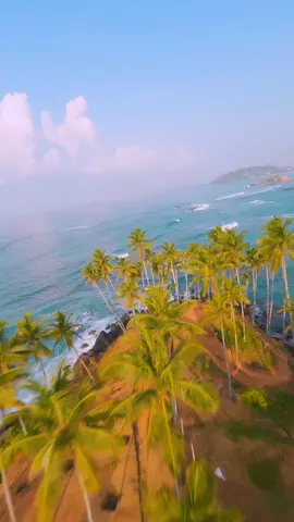 #livewallpaper #wallpaper #wallpapers #hdwallpaper #4klivewallpaper #BeachFlight #PalmTrees #OceanView #SeasideEscape #AerialPerspective #CoastalBeauty #HorizonVista #SunnySkies 