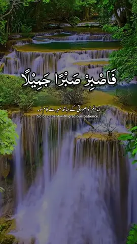 Episode__329💕 Youtube link in bio #عبدالرحمن_مسعد #Quran @Quran 