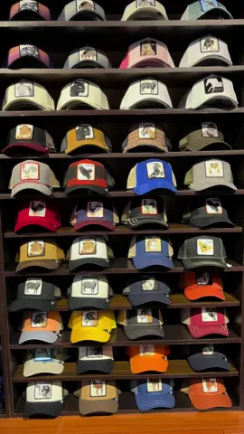 Elevate your style with our Goorin Bros. The Farm Premium hats #fyp #fypbrunei #streetkingsbn #brunei #capcollector #capstore #hatstore #thefarm #truckerhat 