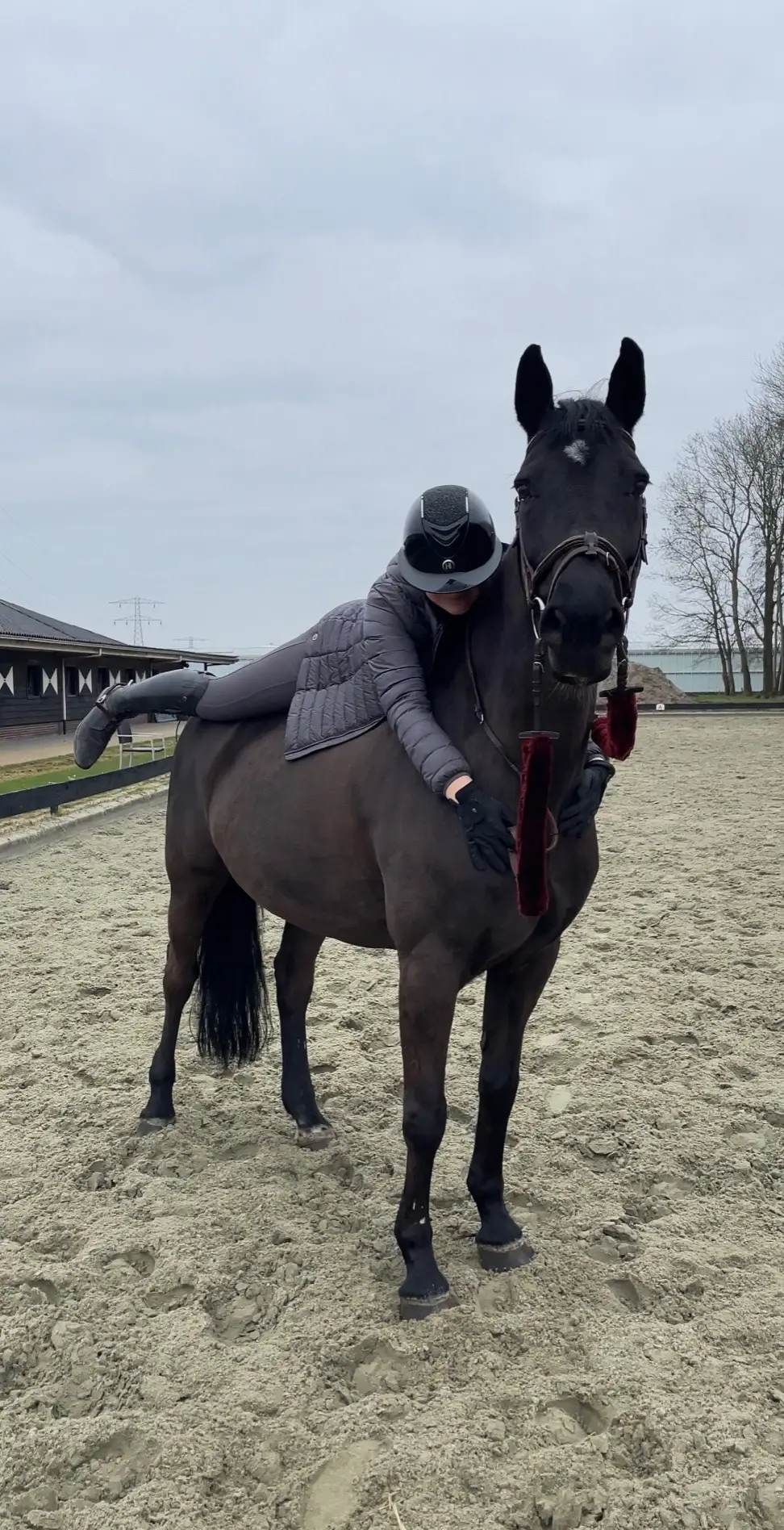 My sweet, sweet girl.. I miss you🫶 #horses #mare #kwpn #equestrian #equine #showjumping #fyp #equestrianlife #pony #photos #sold #foryoupage #❤️ #enjoy #eltieza #thebest #fy #childhood #firstpony 