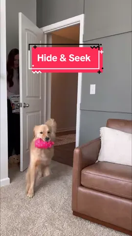 Are you ready for some hide and seek?! 🕵️‍♀️🥸👀 Watch as my dog sniffs out the hiding spots and earns a nutrientboost™ treat! We love to give Pearl @Solid Gold Pets nutrientboost™ meal topper! Unlike other additives and toppers, this craveable, nutrient-rich blend of all-natural ingredients support digestion, immunity, and nutrient absorption!  #solidgoldpartner ##solidgoldpets#nourishyourpet #nutrientboost #funnydog #hideandseek #doglover
