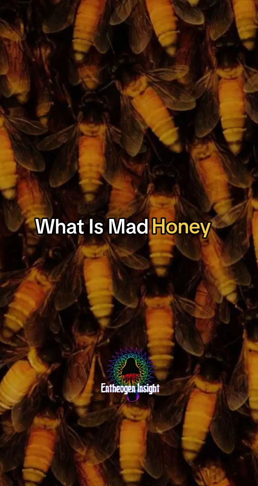 Any experience with mad honey yourself? #tribe #food #adventure #fyp #foryou #foodreviews #psychedelictok #lsddream #ascension #trippy #triptokk #bee #bees 