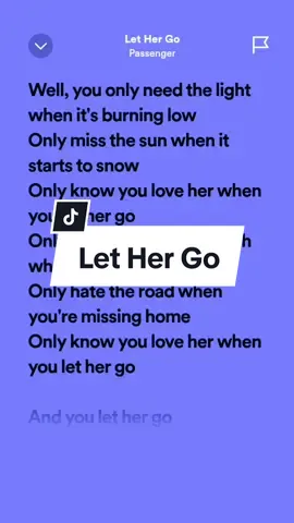 Let Her Go!🎶 #passenger #lethergo #ruelyrics #spotify #songlyrics #fypシ #viralllllll #fypviralシ 