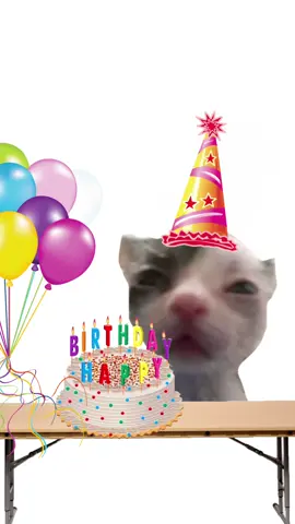 HAPPY BIRTHDAY!! :D (if it is ur birthday😋) #cat #edit #silly #birthday #cats #kitty #YAY #cake #catbirthday