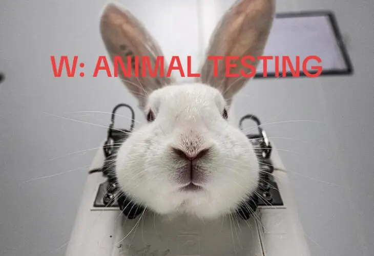 W: Animal Testing. Your favorite brands test on animals. 😢  Is your shiny hair, red cheeks and contoured face, really worth the lives of innocent animals? 😣  Well you can still get these things, but maybe consider buying from a cruelty-free brand instead. 🥰 P.S. Not all the brands in the last picture is correct, please do research. #Fakeblood #Animaltesting #FYP #fyp #fypシ #fypシ゚viral #viral #REPOST #SHARE #TAG #TagYourFriends #STOP #Rabbits #rabbit #rabbitsoftiktok #loréal #Loréalparis #Maybelline #Makeup #Brands #Blush #contour #concealer #Lipstick #lipgloss #shampoo #conditioner #giorgioarmani #armani #Dove #Neutrogena #Vaseline #Redken #Aveeno #Gilette #Garnier #Animals #horses #cow #horse #cat #kittens #kat #dog #hund 