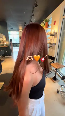 got drunk one weekend and texted my hair stylist.. + here we are! thank you @LMG Beauty Factory for my new era 🧡🫶🏻🐞 #fyp #copperhair #cowboycopperhair #foryoupage #brunettetocopper #miami 