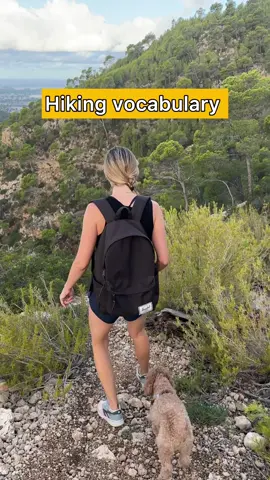 👀Definitions ⬇️ 1. Unwind: To relax and release tension or stress. 2. Trail: A path or track, often through a natural environment, that is used for walking, hiking, or biking. 3. Steep: Having a sharp incline or slope, often making it difficult to climb or descend. 4. Slip: To lose one’s footing, often resulting in a sudden loss of balance. 5. Take it all in: To observe and absorb everything around you, often used to enjoy a scene or situation. 6. Edge: The outer boundary or border of something. 7. Cliff: A steep rock face or slope, typically found beside a body of water or in hilly terrain. 8. Panoramic: Providing a wide view of an area, often used to describe expansive landscapes. 9. Breathtaking: Extremely impressive or stunning, often to the point of leaving one momentarily breathless due to its beauty or intensity. * * * #vocabulary #englishwords #learnenglish #Hiking