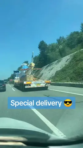 Helicopter delivery 😎 #special #vehicle 