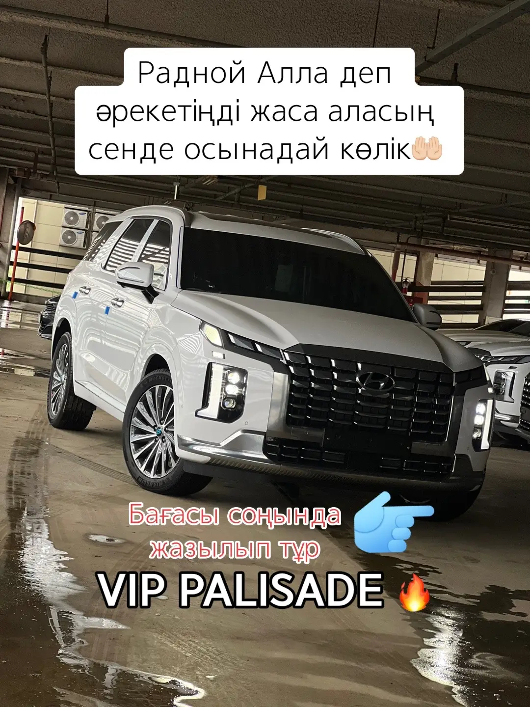 #автокорея #хочуврек #palisade2023 #vip #2023❤😍 #hyundai 