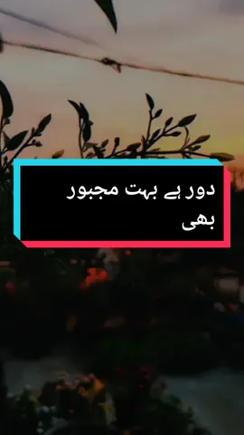 Door Hain Bhot Majboor Bhi 🥀🥀 Black Screen Poetry Available in YouTube Channel #its_marie_official7 #urdupoetry #shayari #urdushayari #foryou #foryoupage #growmyaccount 