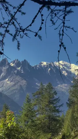 “Chasing angels or fleeing demons, go to the mountains.” – Jeffery Rasley  #hikingtiktokadventures #naturevideography #peacefulnature #amazingview #liveinthemoment #mountains #Hiking #Summer #frenchalps #tourdumontblanc 