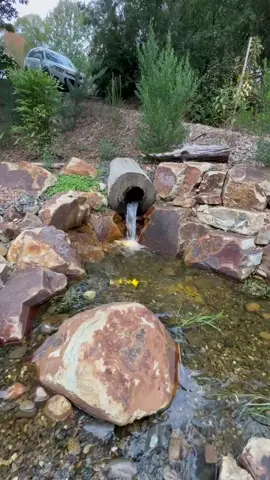 How cool is this recreation pond built by expert CAC, Ben Hutchinson Landscapes, in Melbourne, Australia! Hard to believe this is a suburban area. What’s stopping you from building a recreation pond in your backyard? Tell us below 👇 #pondtok #aquascapeaustralia