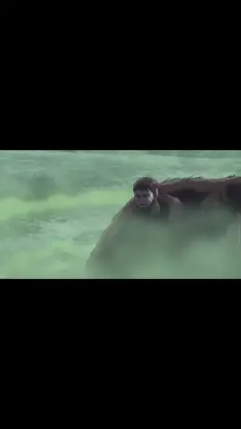 Levi slaying Zeke#leviackerman  #shingekinokyojinand #fy#fyp#tiktokjapantiktokグルメ #beasttit#eren#shingekinokyojinseason4 #anime#anime#anime#fyp#fypシ゚viral 