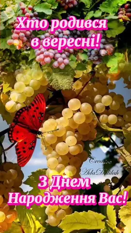 #хтородивсяввересні #зднемнародження #деньнародження #длятебе #відеопривітання #привітання #привітанняукраїнською #длядрузів #happy #happybirthday #birthday #рекомендація #українськийтікток🇺🇦 