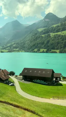 When the window seat on the train ride from switzerland to italy looks like an oil painting ….🥲 #switzerland🇨🇭 #italy #europeansummer #oilpainting #berninaexpress #trainride #swisstrain 