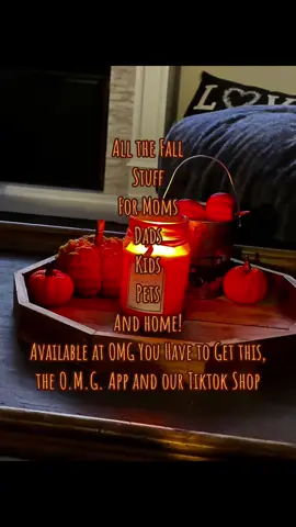 We love the Fall! Home goods, mom shirts, mens shirts, girks dresses, we got it! Check us out. And FREE SHIPPING when you install our app! #frershipping #fall #homedecor #fallfinds #pumpkins #psl #candles #throws #hoodies #tees #halloween #omgyouhavetogetthis 