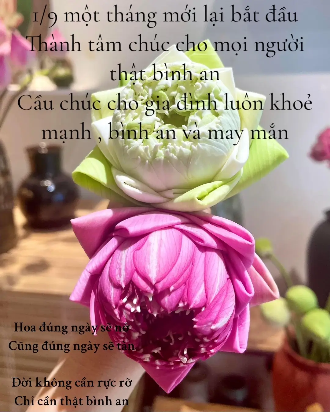 #62longan chúng ta sẽ không biết giá trị của khoảng khắc cho đến khi nó chỉ còn là kỉ niệm🥹😌#binhan