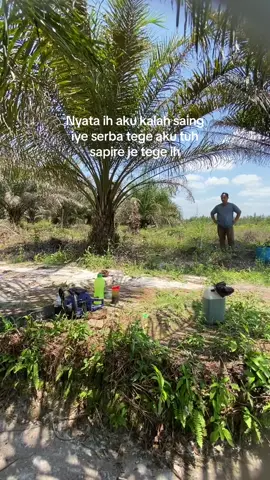 Pehe lew#katingankalteng #plangkarayakotacantik #lewatberanda #pyfツ #kalteng_palangkaraya #fypppdongggggggggypシ #kasongankotahijau #sawitkalimantan 